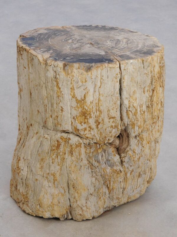 Side table petrified wood 48020