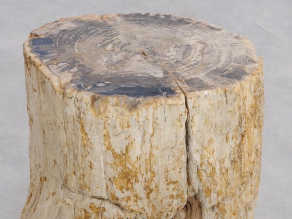 Side table petrified wood 48020
