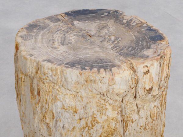 Side table petrified wood 48020