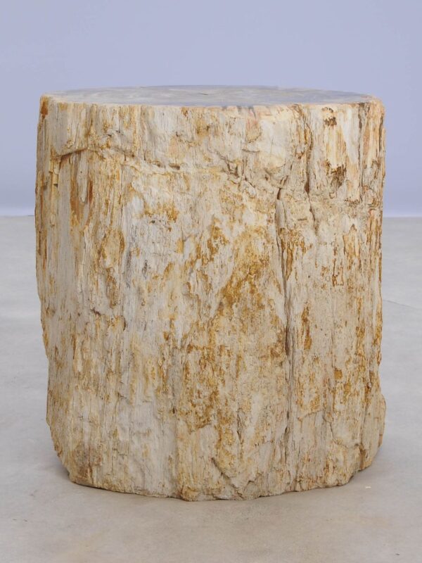 Side table petrified wood 48020