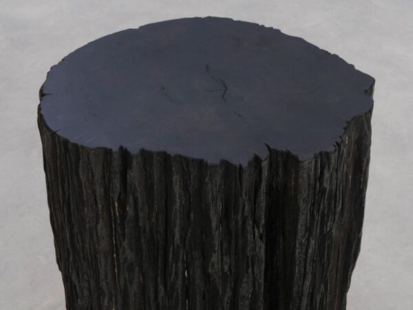 Side table petrified wood 48023