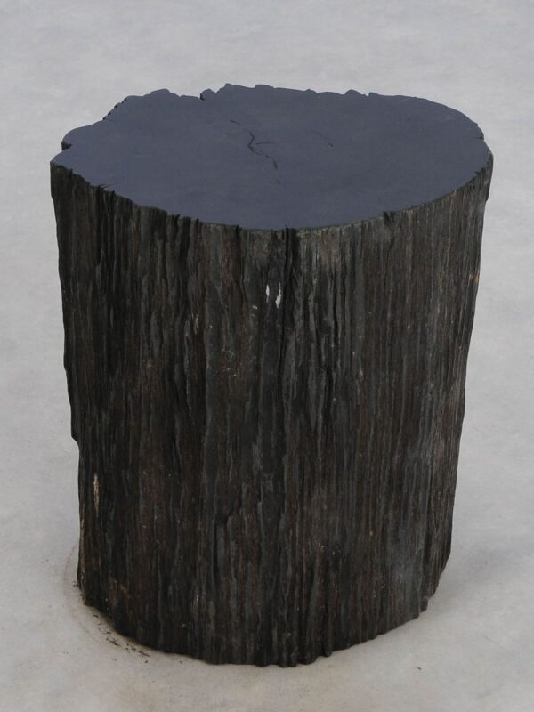 Side table petrified wood 48023