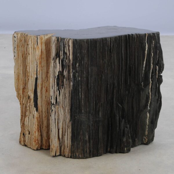 Side table petrified wood 48025