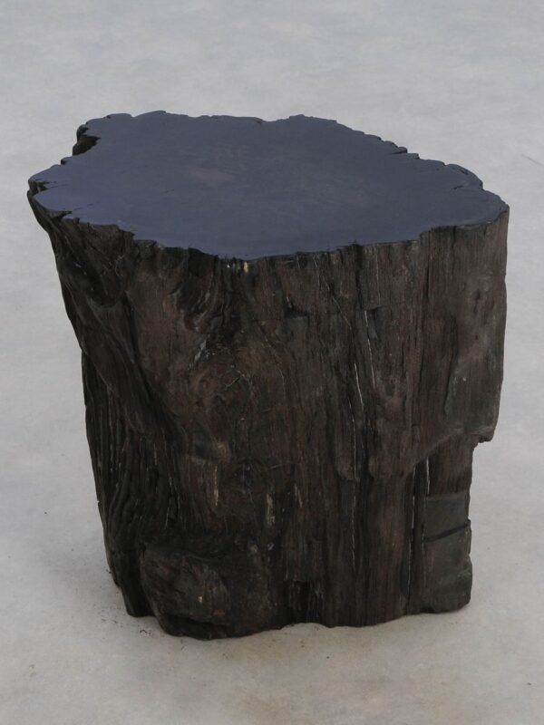 Side table petrified wood 48026