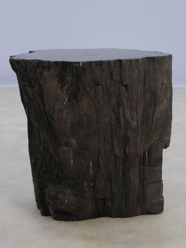 Side table petrified wood 48026