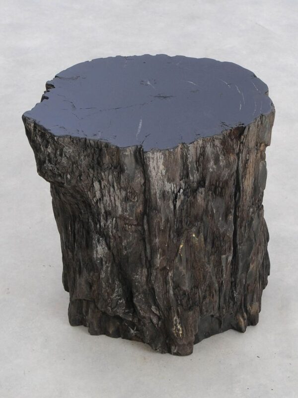 Side table petrified wood 48028