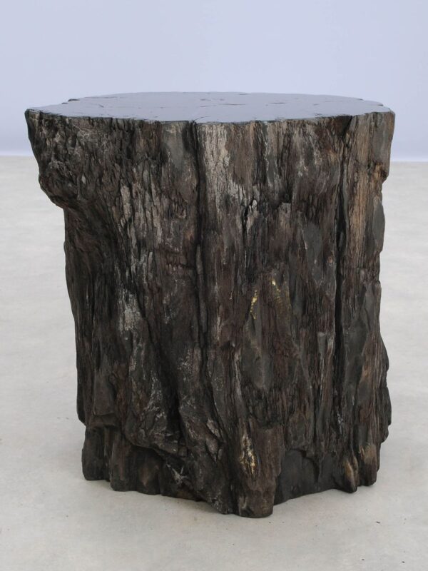 Side table petrified wood 48028