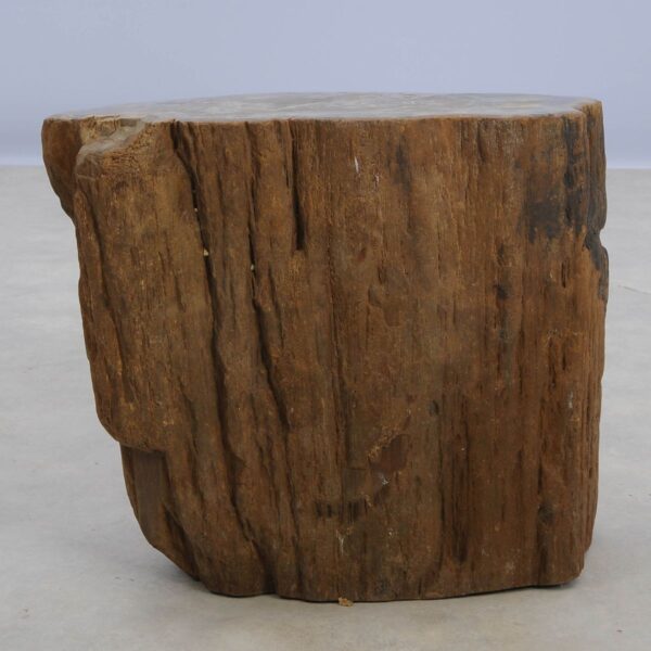 Side table petrified wood 48029