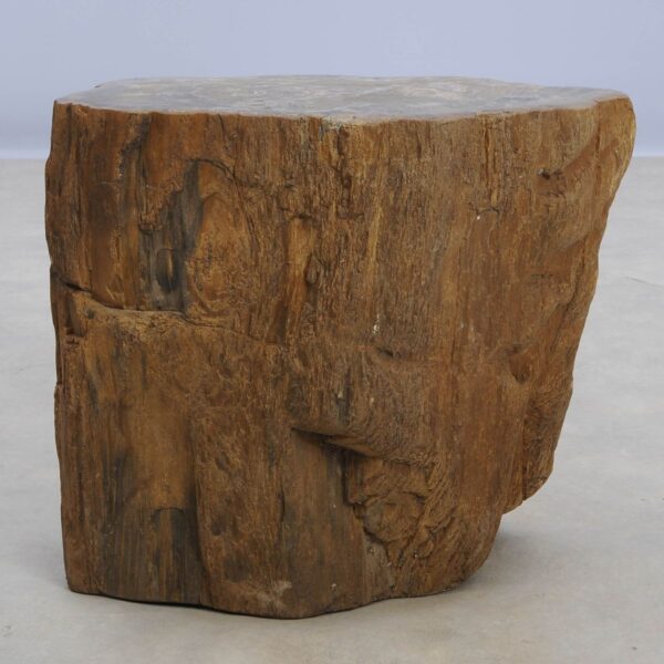 Side table petrified wood 48029