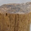 Side table petrified wood 48030