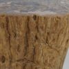 Side table petrified wood 48030