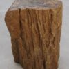 Side table petrified wood 48030