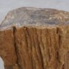 Side table petrified wood 48030