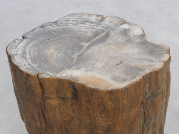 Side table petrified wood 48031