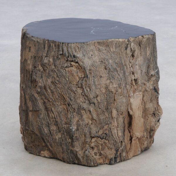Side table petrified wood 48035