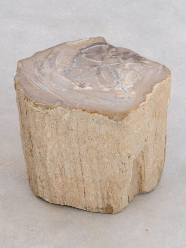 Side table petrified wood 48036