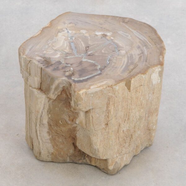 Side table petrified wood 48036