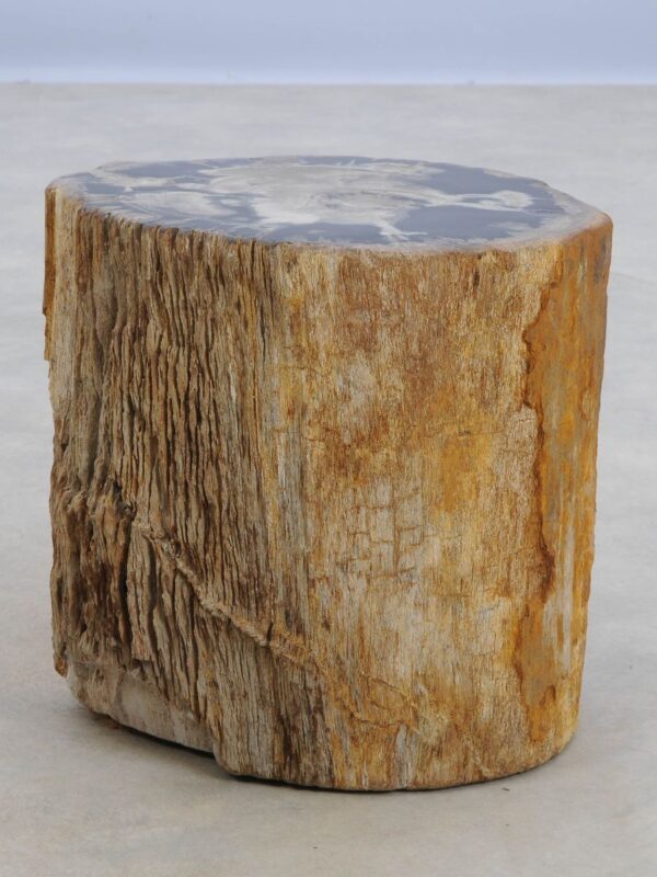 Side table petrified wood 48039