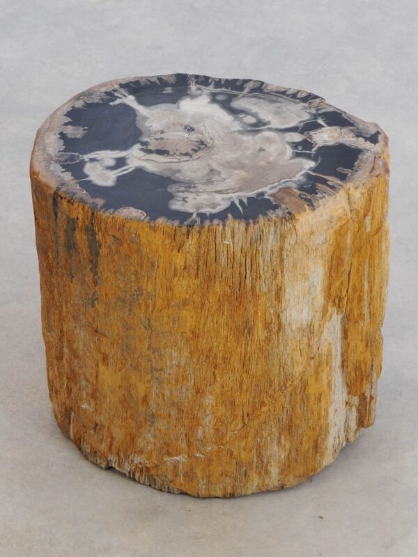 Side table petrified wood 48039