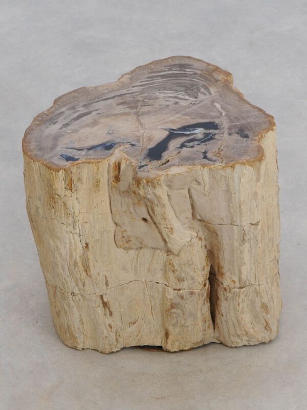 Side table petrified wood 48042