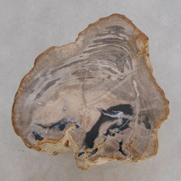 Side table petrified wood 48042