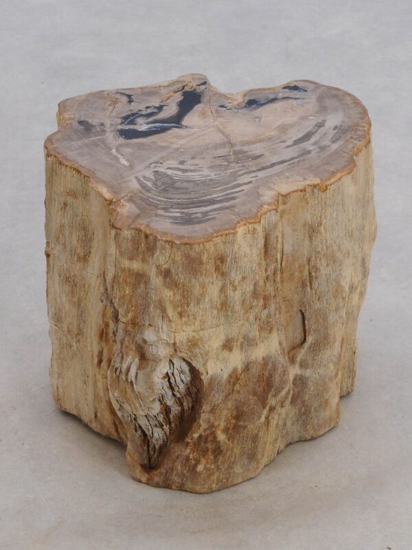 Side table petrified wood 48042