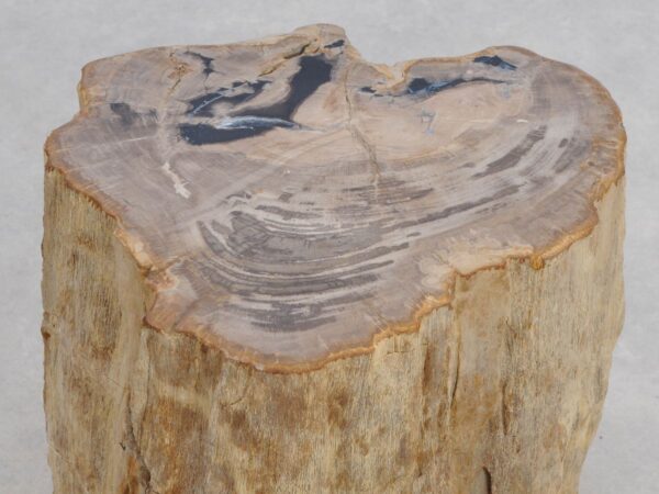 Side table petrified wood 48042