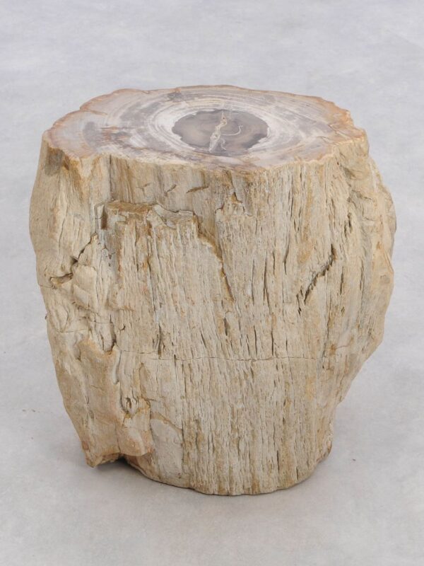 Side table petrified wood 48043