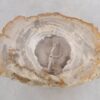 Side table petrified wood 48043