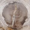 Side table petrified wood 48043