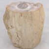 Side table petrified wood 48043