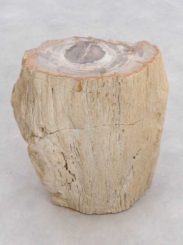 Side table petrified wood 48043