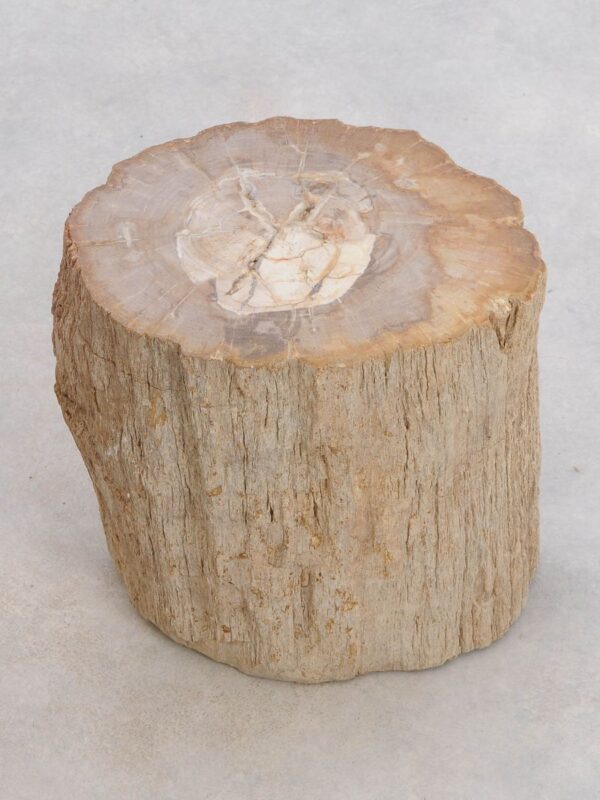 Side table petrified wood 48044