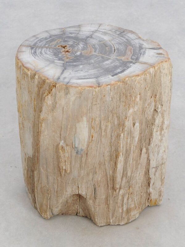 Side table petrified wood 48045