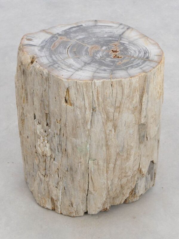 Side table petrified wood 48045