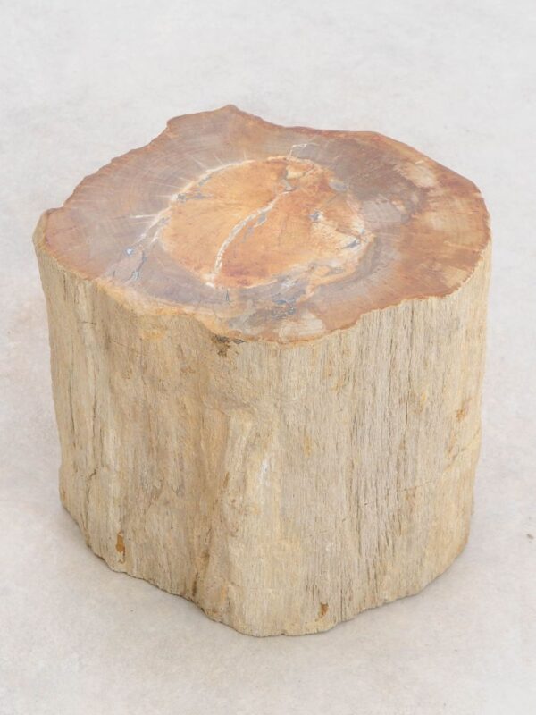 Side table petrified wood 48046