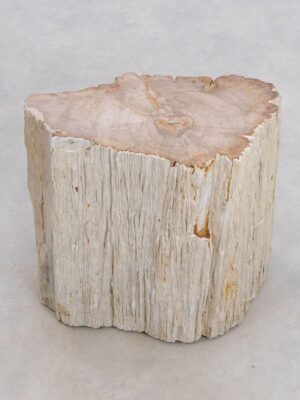 Side table petrified wood 48048