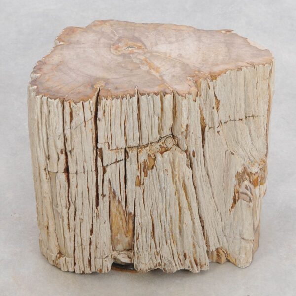 Side table petrified wood 48048