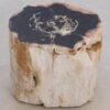 Side table petrified wood 48049