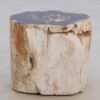 Side table petrified wood 48049