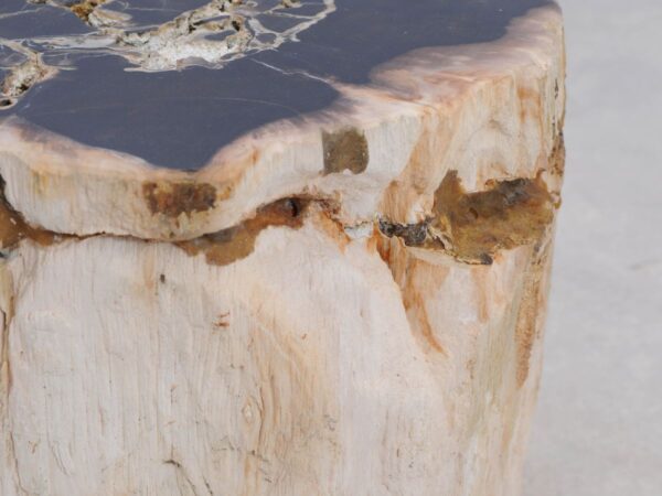 Side table petrified wood 48049