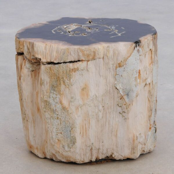 Side table petrified wood 48049