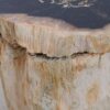 Side table petrified wood 48049