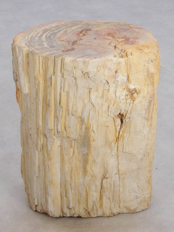 Side table petrified wood 48053