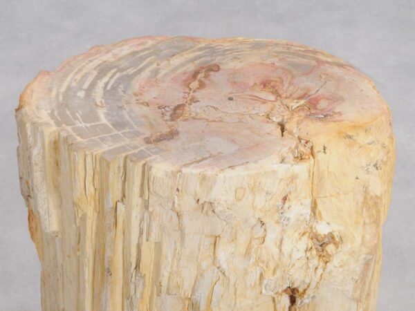 Side table petrified wood 48053