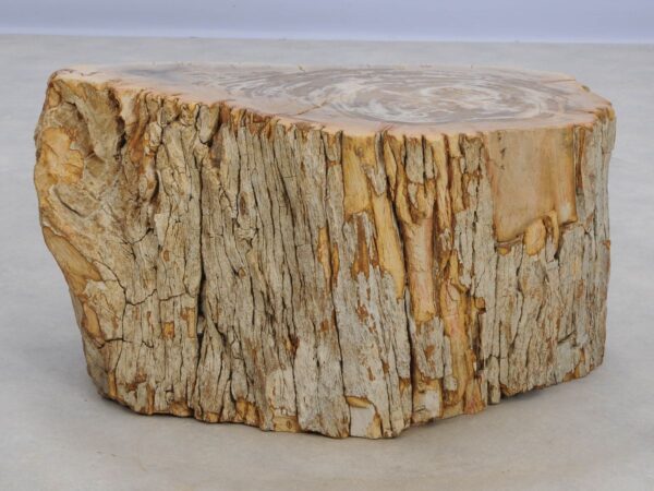 Side table petrified wood 48054
