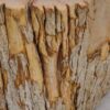 Side table petrified wood 48054
