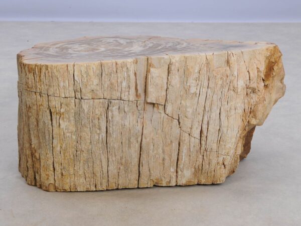 Side table petrified wood 48054