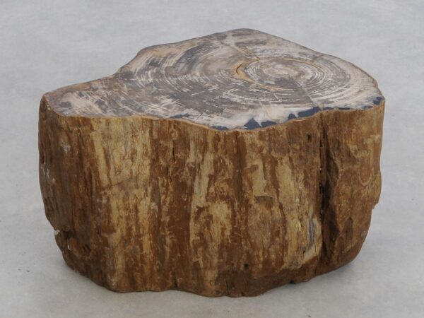 Side table petrified wood 48055