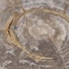 Side table petrified wood 48055